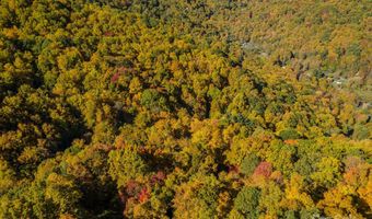 99999 Harwood Rd, Barnardsville, NC 28709