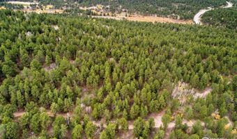441 County Road 84 W, Allenspark, CO 80510