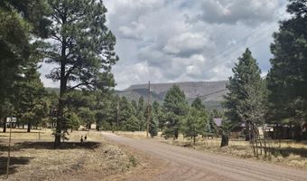 15 County Road 2065, Alpine, AZ 85920