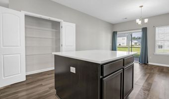 217 Wading Bird Loop, Blythewood, SC 29016