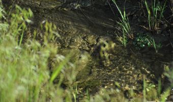 T32 Sec 25, Imlay, NV 89418