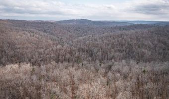 760 County Road 203, Annapolis, MO 63620