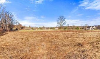 L43.3 Fairway Court, Afton, NY 13730