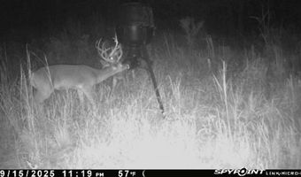 TBD Binnicker Bridge Road, Bamberg, SC 29003