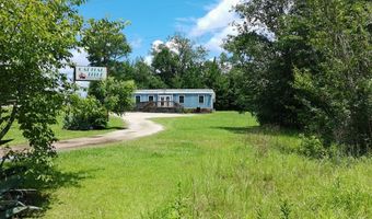 7821 Tallahassee Hwy 8.98+/- Acres, Attapulgus, GA 39815