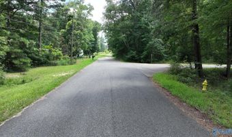 Wilcox Street SE, Attalla, AL 35954