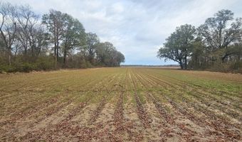 001 CR 532, Avalon, MS 38917