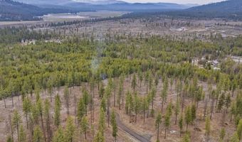 L5 B1 Wallace Lane, Blanchard, ID 83804