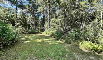 1580 CR 4535, Hillister, TX 77624