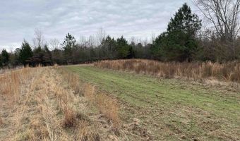 34655 Co Rd 49, Beaverton, AL 35544