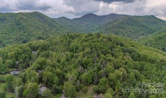 000 Buena Vista Dr 25, Barnardsville, NC 28709