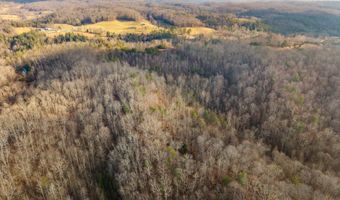 Marshall Drive, Beattyville, KY 41311