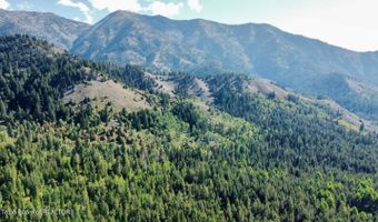 415 FOREST 21, Alpine, WY 83128
