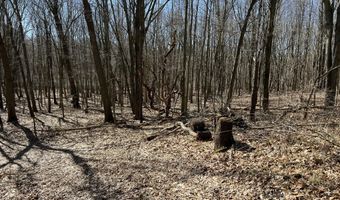 5725 Whitneyville Ave SE, Alto, MI 49302