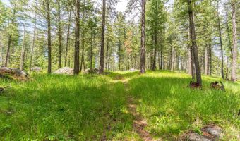 510 Swan Hill Rd, Bigfork, MT 59911