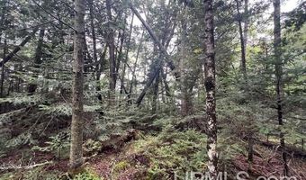 TBD Cable Lake, Amasa, MI 49903