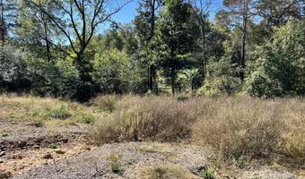 1011 Granny Hollar Rd, Atkins, AR 72823