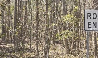 Freeman Street lot 5, Brunson, SC 29911