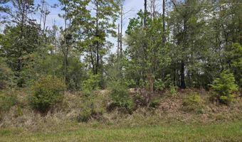 12287 Red Hill Rd Ext, Bay Minette, AL 36507
