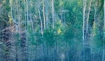 5280 Tabernacle School Rd, Asheboro, NC 27205