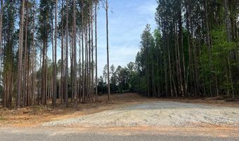 Lot B Hayes Mill Road, Baskerville, VA 23915