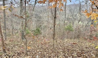 0 Duncan Rd, Alvaton, KY 42122