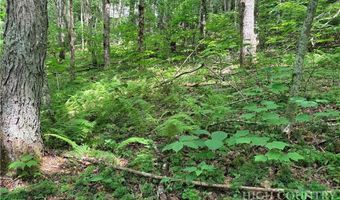 Chestnut Mountain Road, Banner Elk, NC 28604