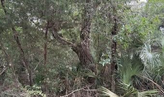 638 Kinnakeet Way Lot 5323, Bald Head Island, NC 28461