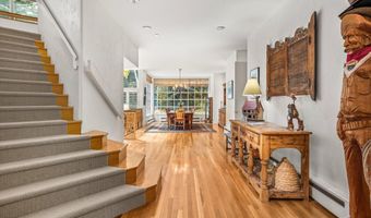 431 W Hopkins Ave, Aspen, CO 81611