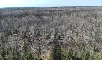 5280 Cathro Rd, Alpena, MI 49707