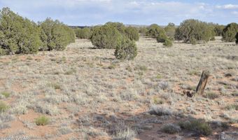 176 CR N5549, Concho, AZ 85924