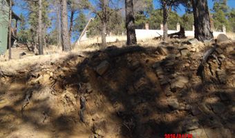 59 60 Lake Shore Drive Lot 59 & 60, Alto, NM 88312