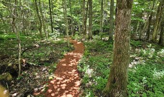 1500 Brook Rd, Burke, VT 05871