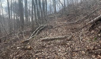 Martins Creek Road, Barnardsville, NC 28709