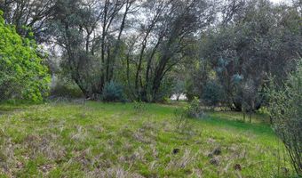 6 Knickerbocker, Ahwahnee, CA 93601