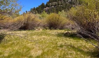 Cottonwood Drive lot 25 & 26, Antonito, CO 81120