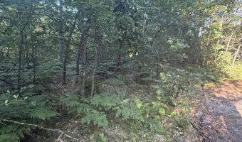 Michael Drive, Alger, MI 48610
