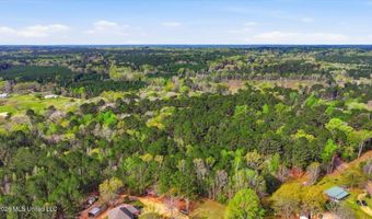 Harrisville Braxton Road, Braxton, MS 39044