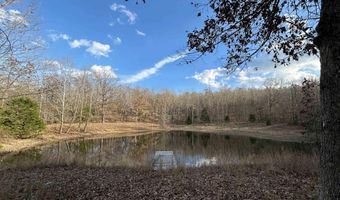 2483 County Road 314, Alton, MO 65606