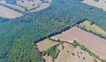 0 CR 320, Big Creek, MS 38914