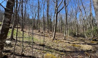 ES71 Twisted Oak Path, Banner Elk, NC 28604