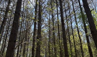 000 Fowler Rd, Beech Bluff, TN 38313