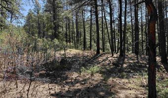 156 Lake View Cir, Bayfield, CO 81122
