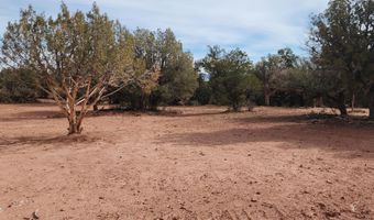 S2 Lot 92 Off Indian Springs, Ash Fork, AZ 86320