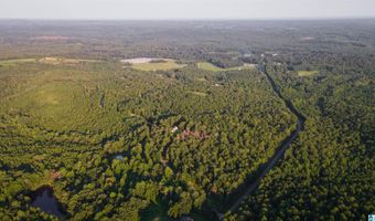 200 TABLEE LANE Lot 17.65, Ashland, AL 36251