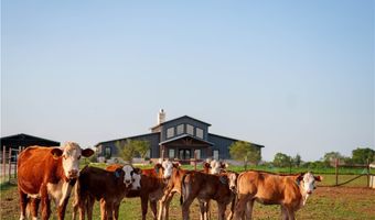 12093 Sulphur Springs Rd, Adkins, TX 78101