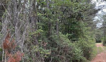 Hwy 49 lot 1, Brooklyn, MS 39425
