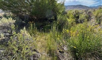 780 DAVIS MEADOW Trl, Dyer, NV 89010