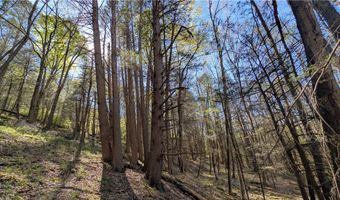 East River Road lot 5, Andes, NY 13731