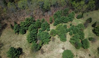 667 Cemetery St, Brookfield, VT 05036